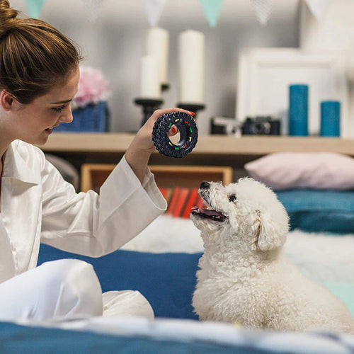 10-Pack Dog Chew Toys For Puppies And Teething Puppies Chew Toys (Set of 10)