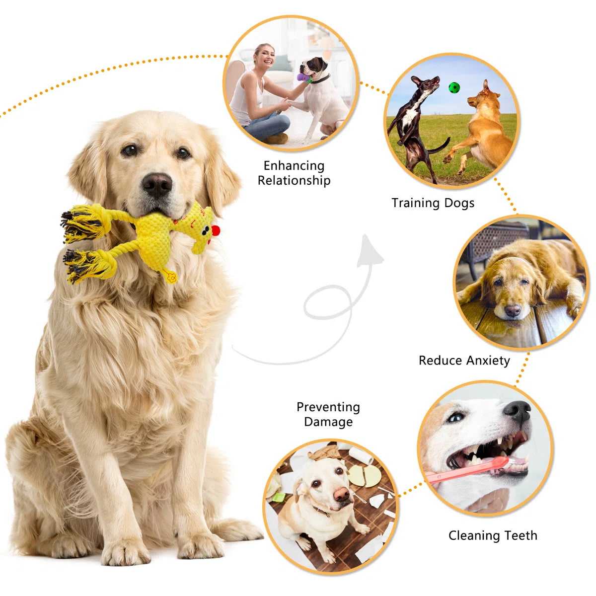 15-Pack Dog Chew Toys For Small Medium Dogs Puppies, Cute Squeaky Dog Toys, Durable Plush Puppy Teething Toys, Ropes Puppy Chew Toys, Non-Toxic And Safe