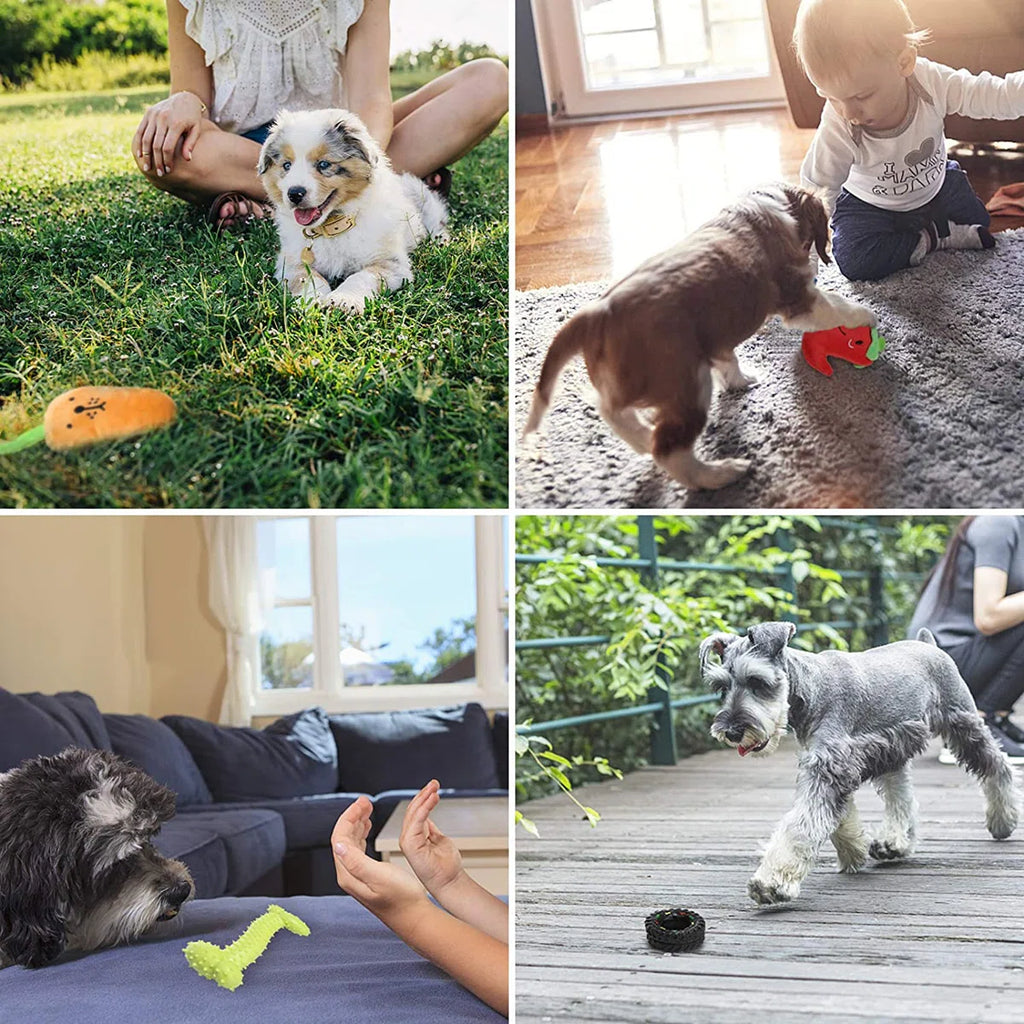10-Pack Dog Chew Toys For Puppies And Teething Puppies Chew Toys (Set of 10)