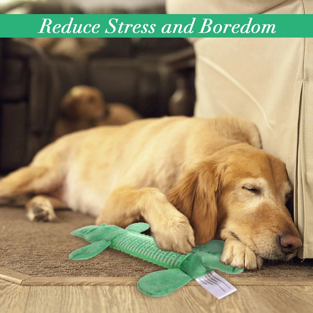 Plush Dog Chew Toy For Puppies And Teething Puppies