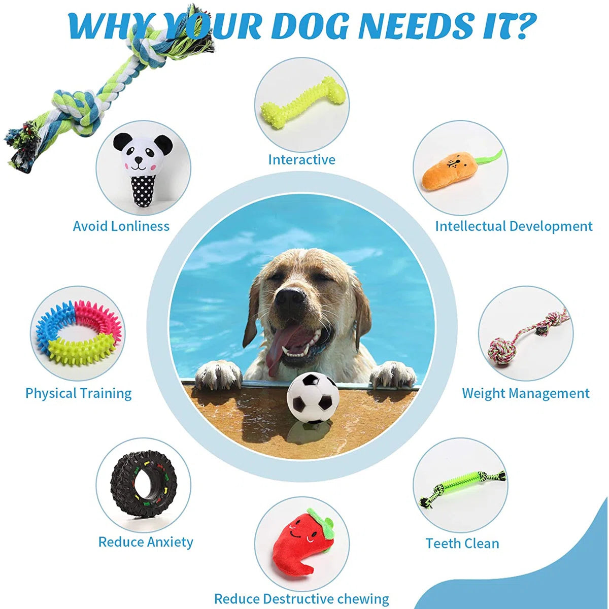 10-Pack Dog Chew Toys For Puppies And Teething Puppies Chew Toys (Set of 10)